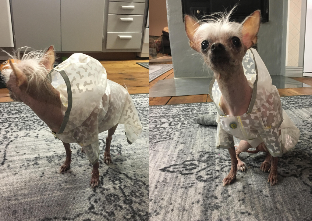 Läs mer om artikeln Idépeng att söka! 15/5