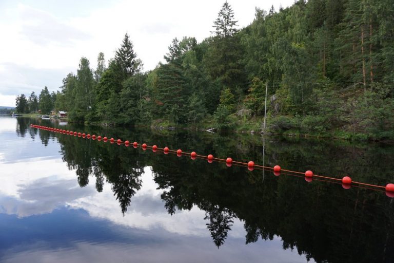 Läs mer om artikeln Höstlov på Steneby 2017