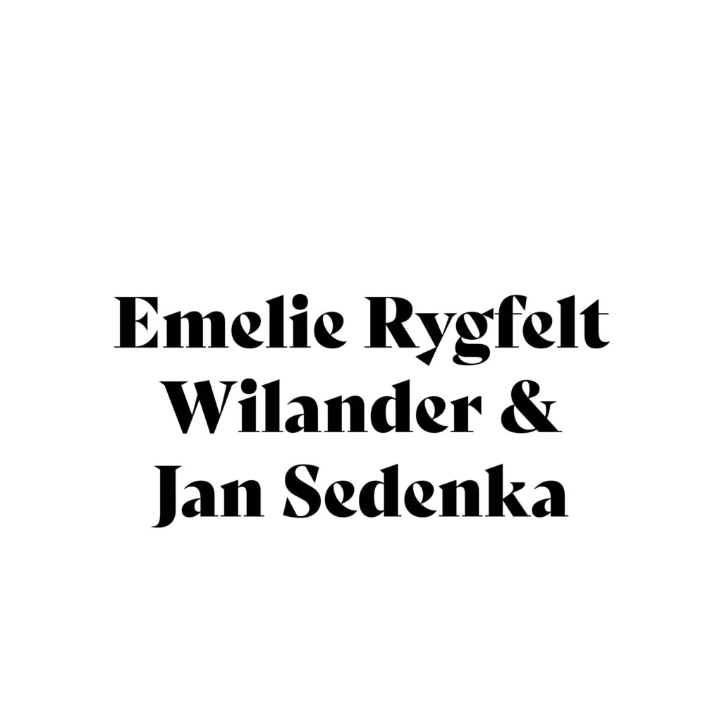 Läs mer om artikeln Ekonomi+konst par – Emelie Rygfelt Wilander  & Jan Sedenka