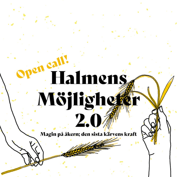 Läs mer om artikeln Halmens möjligheter 2.0 