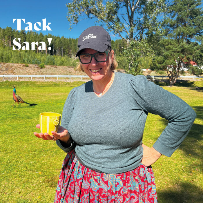 Läs mer om artikeln Tack Sara!