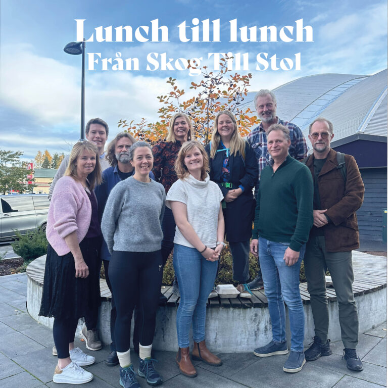 Läs mer om artikeln Från skogen till stolen – projektmöten i Dals Långed och Hamar, Norge