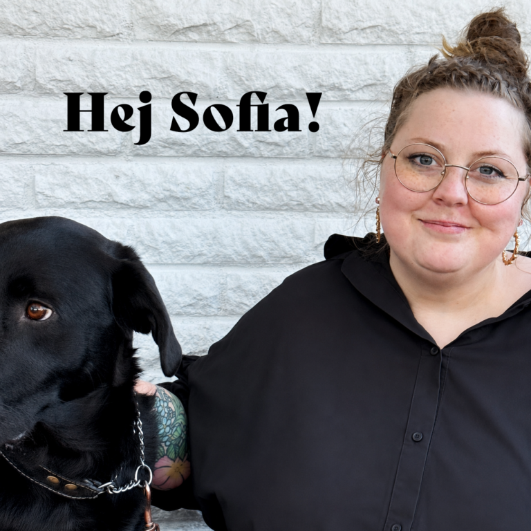 Läs mer om artikeln Hej Sofia!