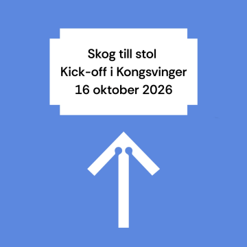 Kongsvinger 2_square